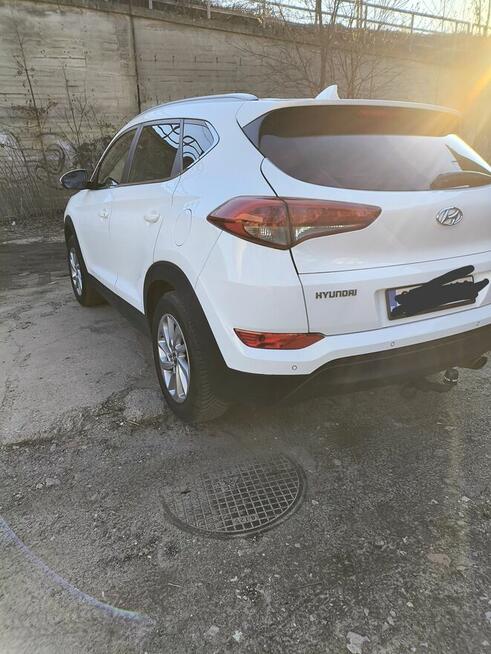 Sprzedam ładnego tucsona Tarnowskie Góry - zdjęcie 9