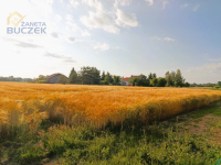 Sprzedam działkę rolną w Bronisławach Bronisławy - zdjęcie 5