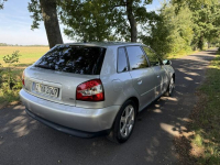 Audi A3 1.6 MPI 102KM Klima Zadbany Sprawny Ocice - zdjęcie 6