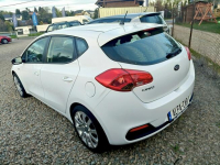 Kia Cee'd 2012*Benzyna*Lift*Doinwestowany*Polecam Bibice - zdjęcie 2