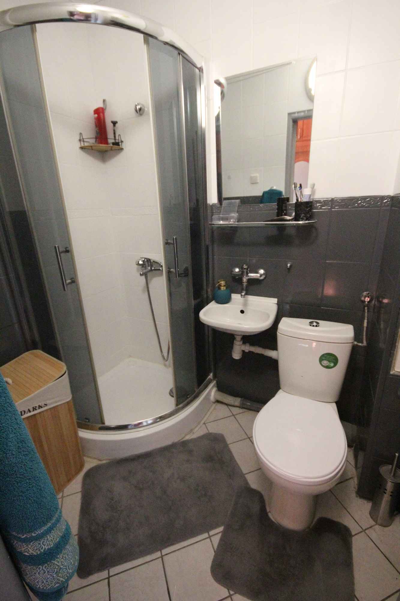 2pok, 39met, okolice Ogrodu Botaniczego PIWNICA/WINDA (Wrocław) Śródmieście - zdjęcie 7