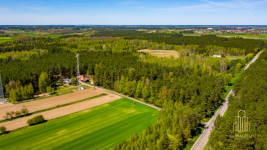Urokliwa działka w zaciszu lasu w Koźlikach!!! Koźliki - zdjęcie 7