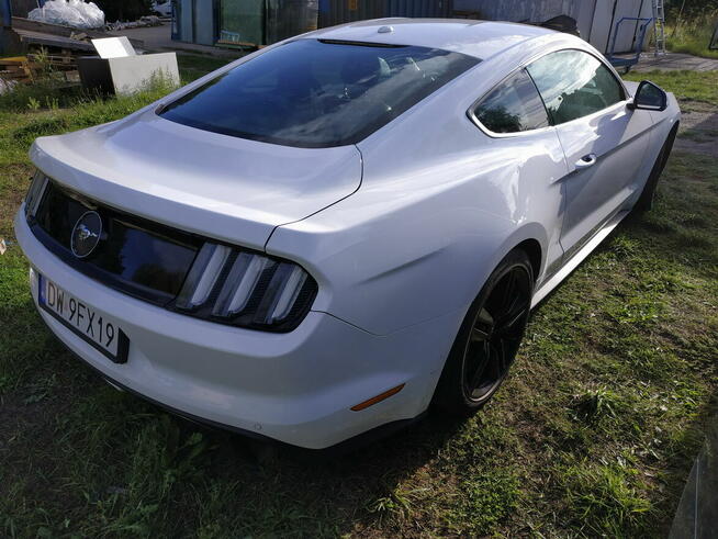 Syndyk sprzeda Ford Mustang Wrocław - zdjęcie 4