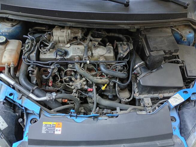 Ford Grunwald - zdjęcie 7