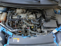 Ford Grunwald - zdjęcie 7