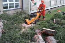 Wycinka drzew trudnych.