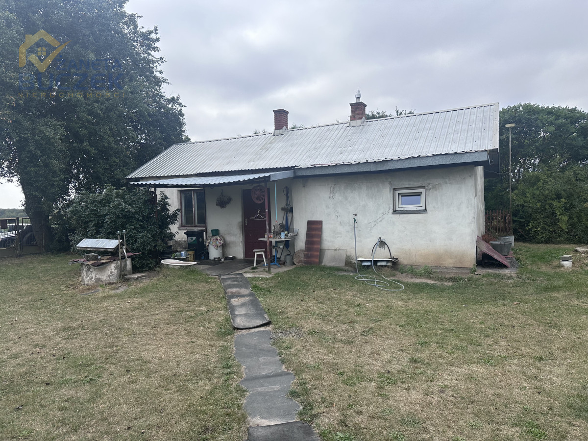 Działka rolna z budynkami - Pasikonie gm.Kampinos Pasikonie - zdjęcie 7