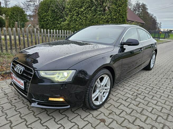 Audi A5 12/13r 177PS Navi Zadbany Rata800zł Śrem - zdjęcie 1