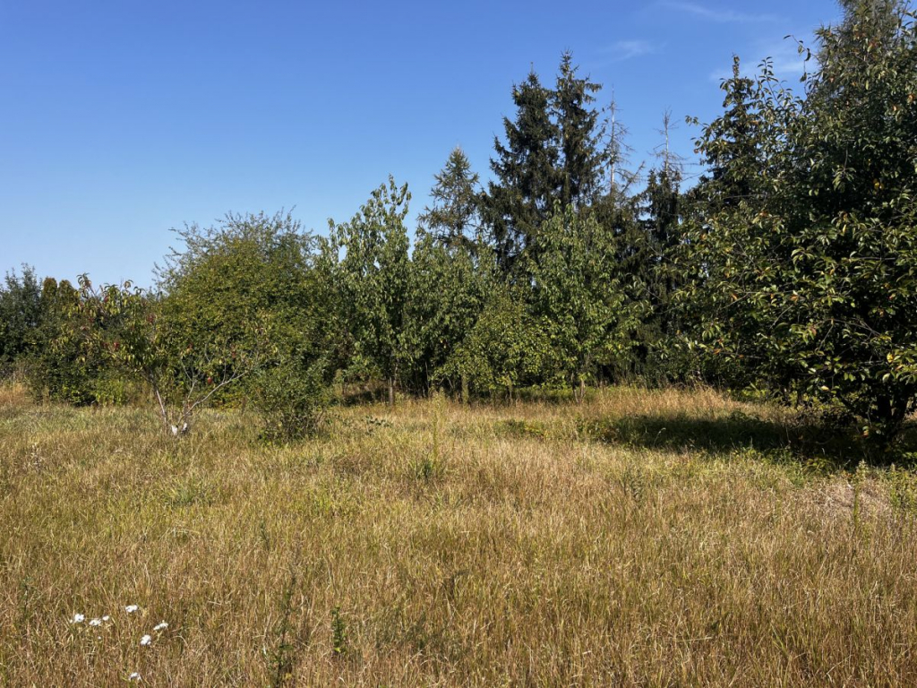 Działka w Dusznikach-miejsce dla Twojej Rodziny Duszniki - zdjęcie 4