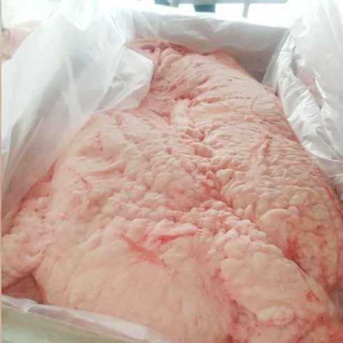 HALAL LAMB TAIL FAT FOR SALE Bemowo - zdjęcie 2