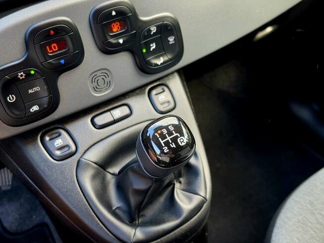 Fiat Panda 1.2 69KM | 36 tys.km | Bogate wyposażenie Skępe - zdjęcie 11