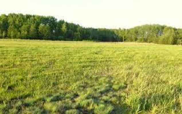 Działka Budowlana (1000 m2) okolice Grota Roweckiego (Żerniki Wroc.) Żerniki Wrocławskie - zdjęcie 1