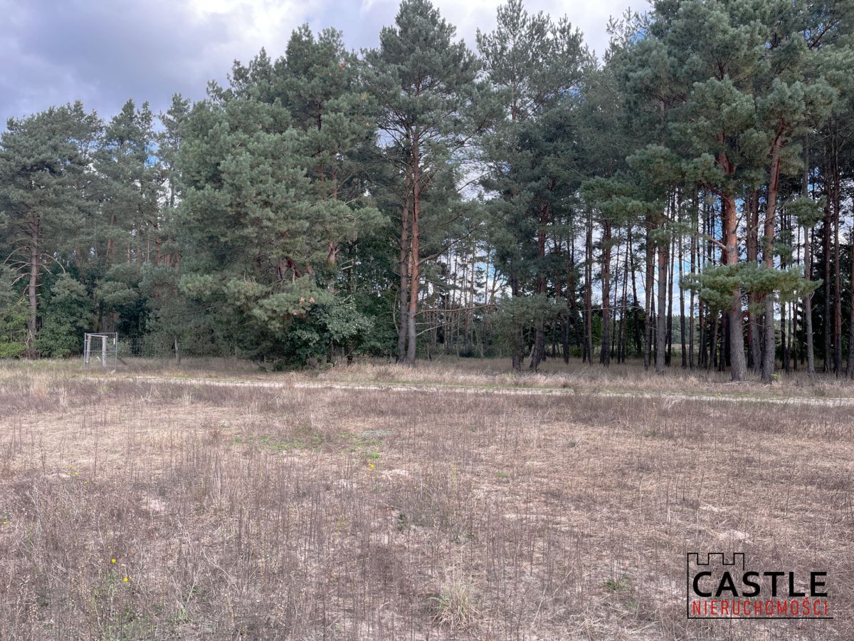 Działka budowlana blisko lasu, Trzciel/Jasieniec Trzciel - zdjęcie 10
