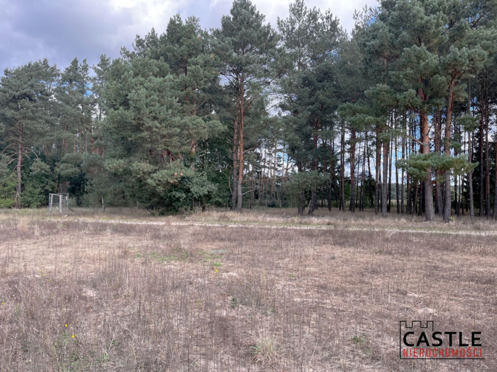 Działka budowlana blisko lasu, Trzciel/Jasieniec Trzciel - zdjęcie 10
