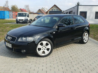 Audi A3 2.0tdi 140KM Skóra Klima Alu17 Raty Zamiana.