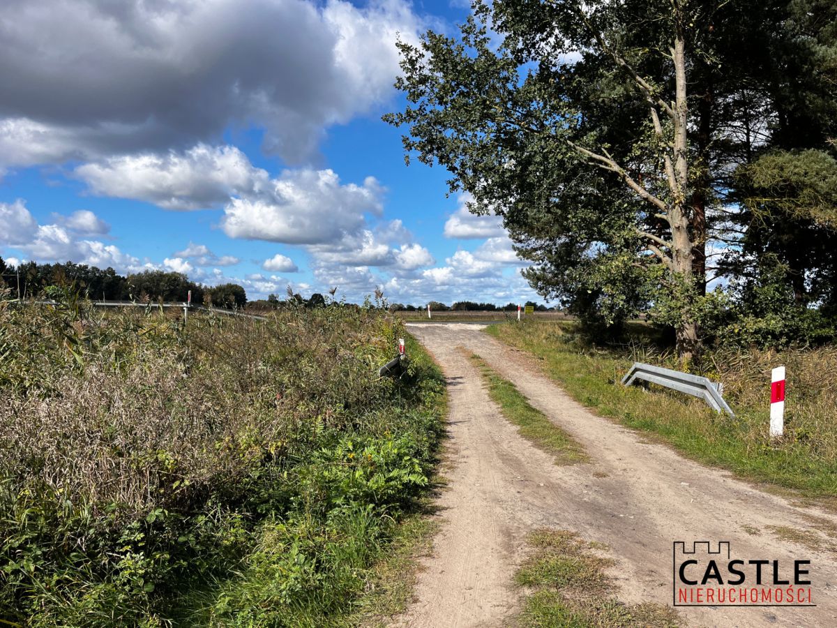 Działka budowlana blisko lasu, Trzciel/Jasieniec Trzciel - zdjęcie 1