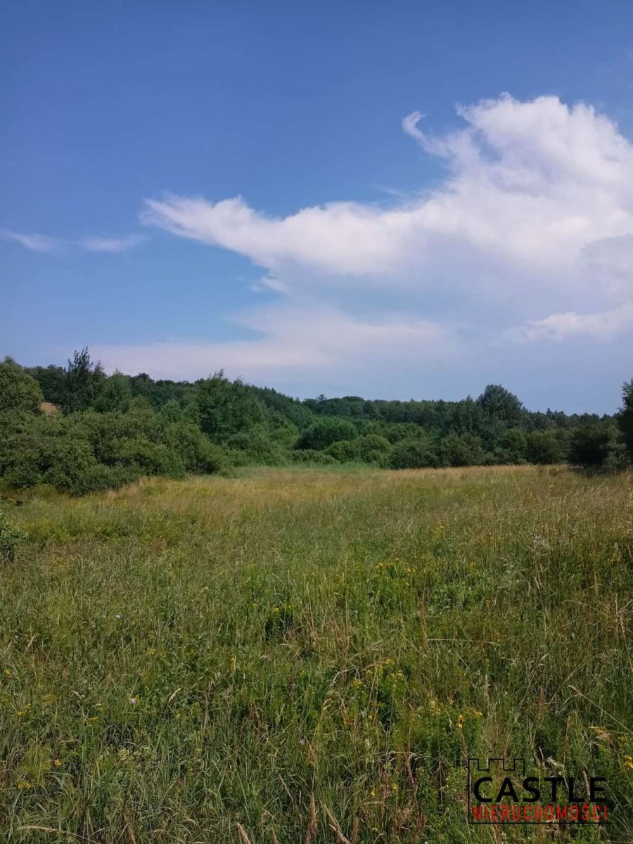 100 zł za 1m2 I Olszanka I pod budowę Olszanka - zdjęcie 10