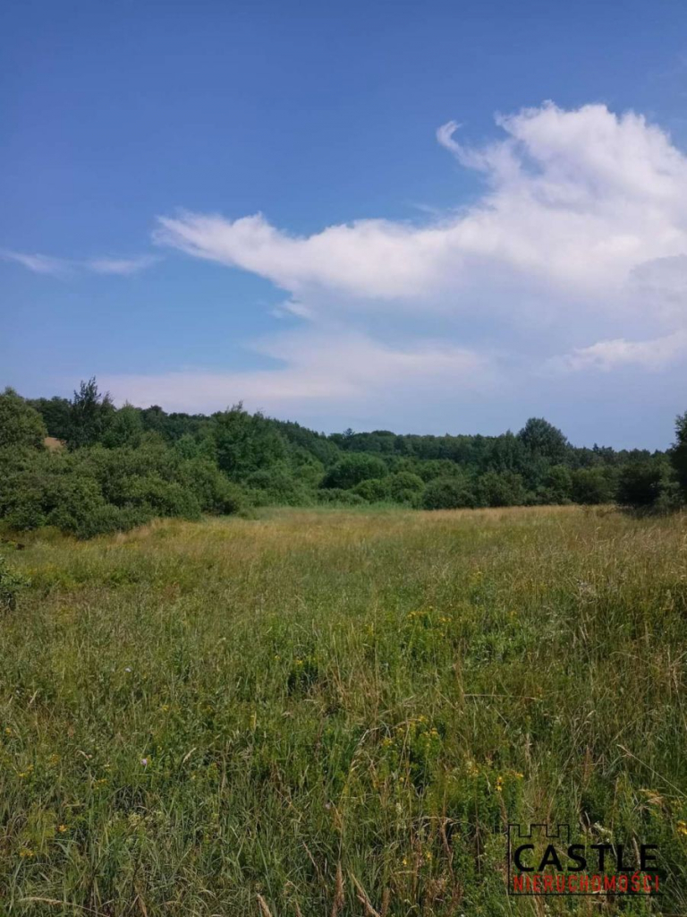 100 zł za 1m2 I Olszanka I pod budowę Olszanka - zdjęcie 10