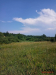 100 zł za 1m2 I Olszanka I pod budowę Olszanka - zdjęcie 10