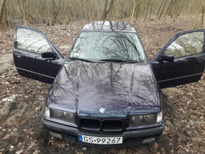 Bmw e36 316i Słupsk - zdjęcie 9