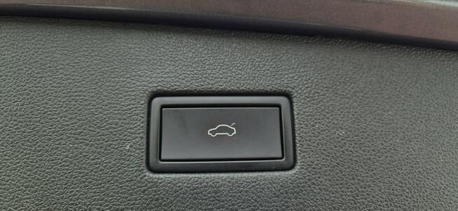 Volkswagen Tiguan ALLSPACE-R-LINE Paproć - zdjęcie 10