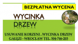 Usuwanie korzeni, cennik , tel. 504-746-203. Wrocław. pni, pnia drzewa Psie Pole - zdjęcie 4