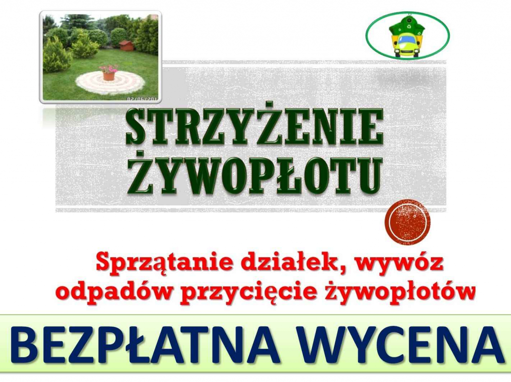 Przycięcie żywopłotu, skrócenie, tel 504-746-203, Wrocław, pielęgnacja Psie Pole - zdjęcie 1