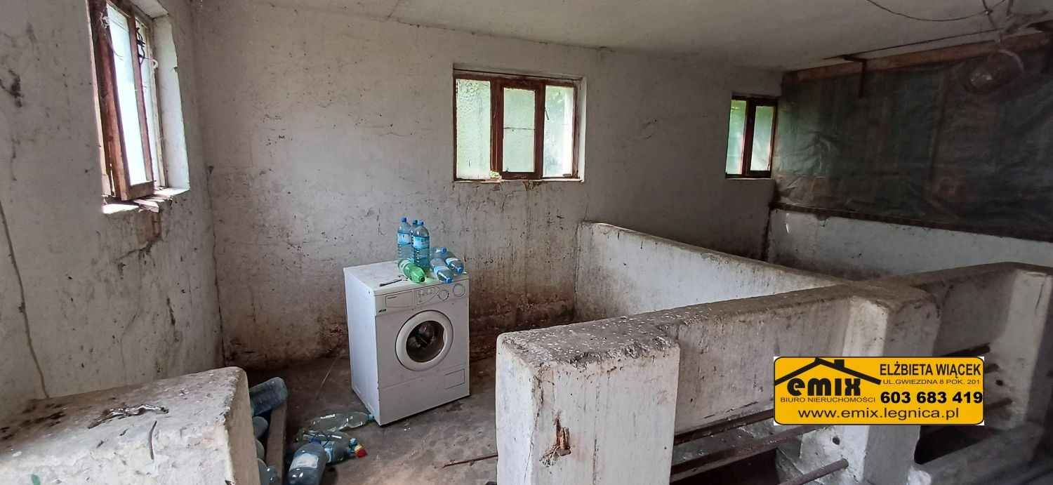 Działka z domem i możliwością jego rozbudowy - 5 km od Chojnowa Chojnów - zdjęcie 6