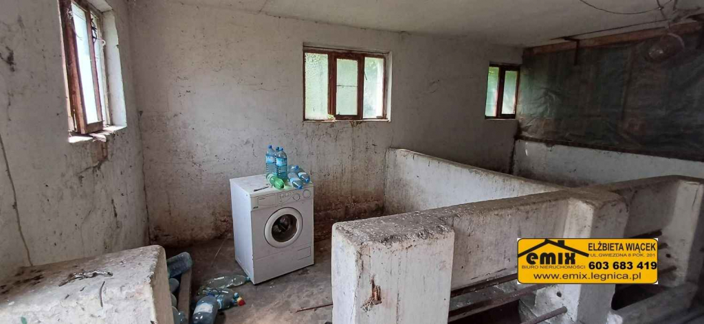 Działka z domem i możliwością jego rozbudowy - 5 km od Chojnowa Chojnów - zdjęcie 6