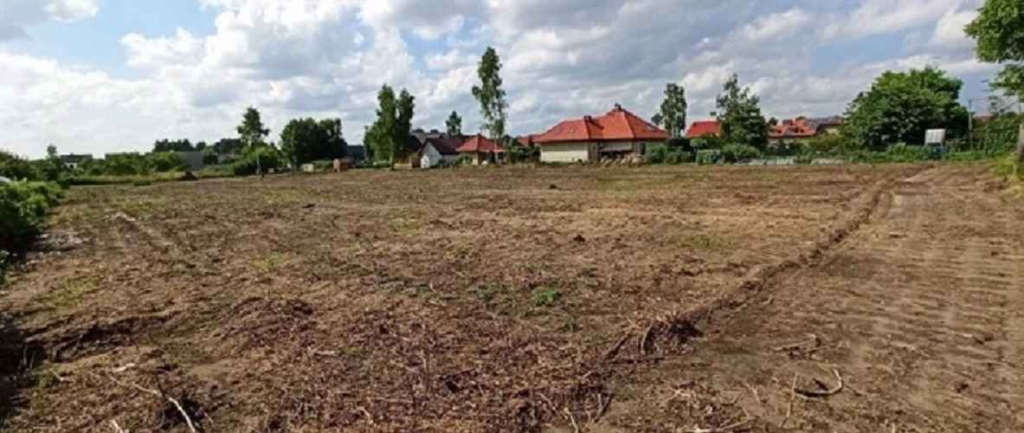 Działka Budowlana (6600 m2) okolice Różanej (Syców) Syców - zdjęcie 5