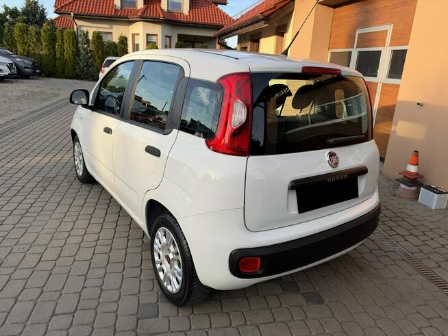 Fiat Panda !! Rezerwacja !! Orzech - zdjęcie 9