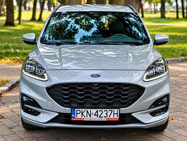 Ford Kuga Sadlno - zdjęcie 2