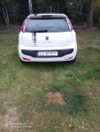Fiat Punto Evo 1.3 multijet Łęczna - zdjęcie 5