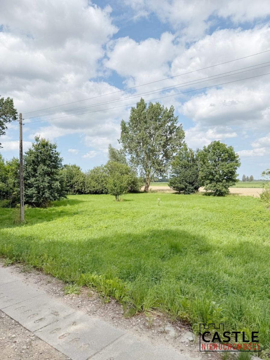 10 km od Stegny I przy wale Tugi I pod stadninę Stobiec - zdjęcie 5