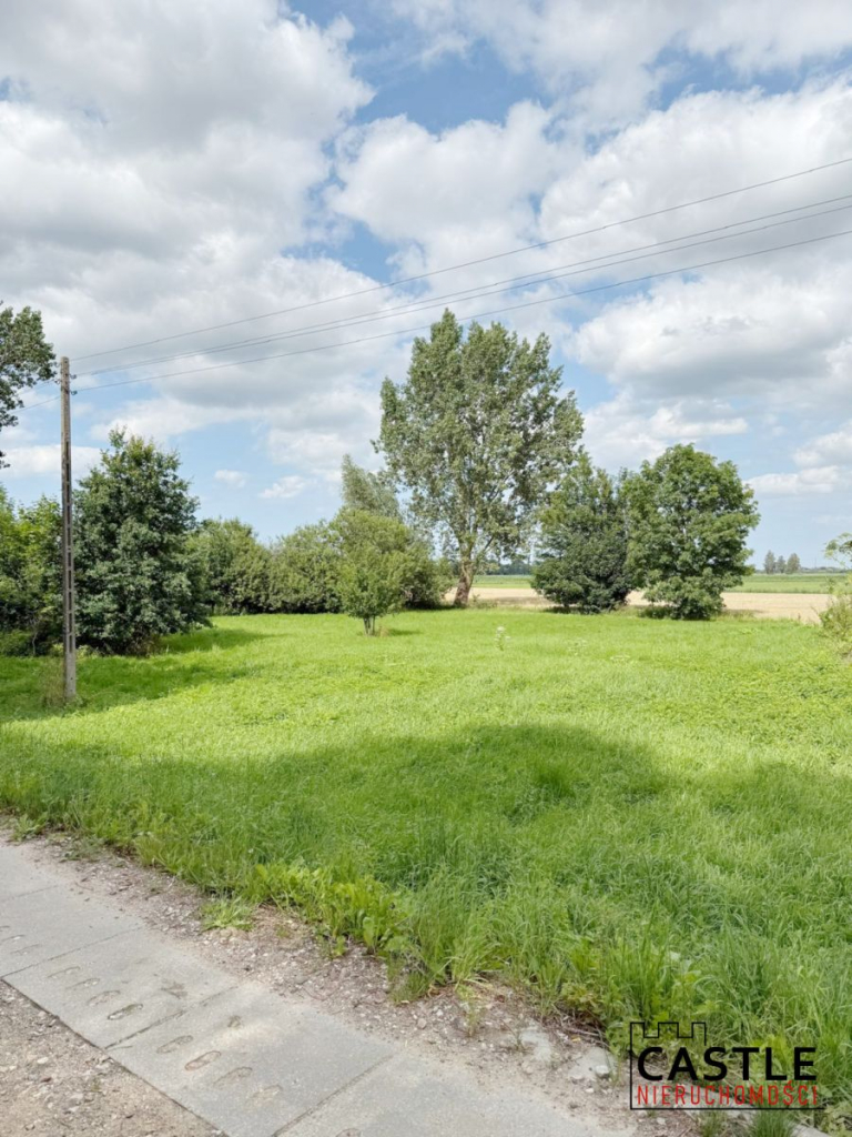 10 km od Stegny I przy wale Tugi I pod stadninę Stobiec - zdjęcie 5