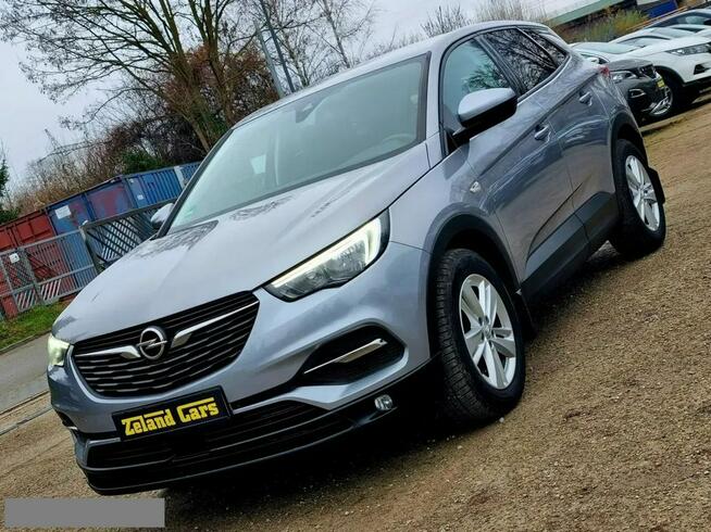 Opel Grandland X Serwis LED Parktronic Climatronic Tempomat Gwarancja Szczecin - zdjęcie 1