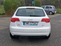 Audi A3 1.6 102 KM Salon Polska TYLKO 106000 KM Przebiegu Kl Słupca - zdjęcie 5