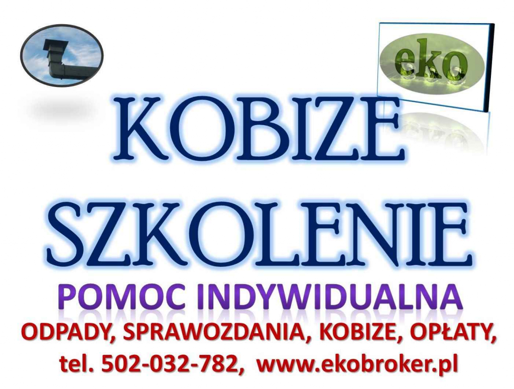 Raport do Kobize, t.502-032-782, raportowanie, wykonanie raportu, cena Psie Pole - zdjęcie 8