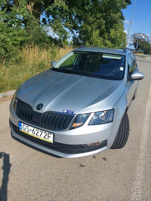 Skoda Octavia 1.6 TDI Ambition 2019 · 127 000 km · 1 598 cm3 Słupsk - zdjęcie 1