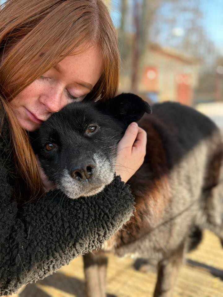 Cudowna, spokojna Bunia PILNIE szuka domu! Olsztyn - zdjęcie 1