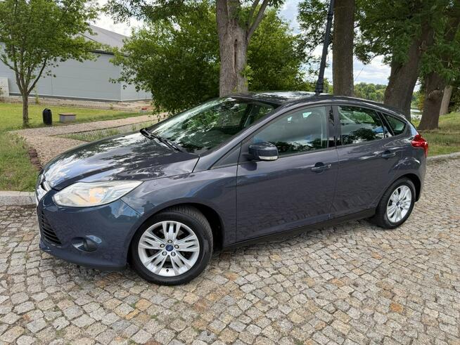Ford Focus 1.6 TDCi DPF Champions Edition Gostynin - zdjęcie 10
