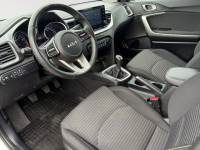 Kia Cee'd PY23835#1.5 T-GDI M 2 stref klima K.cof salon PL VAT23% Pępowo - zdjęcie 7