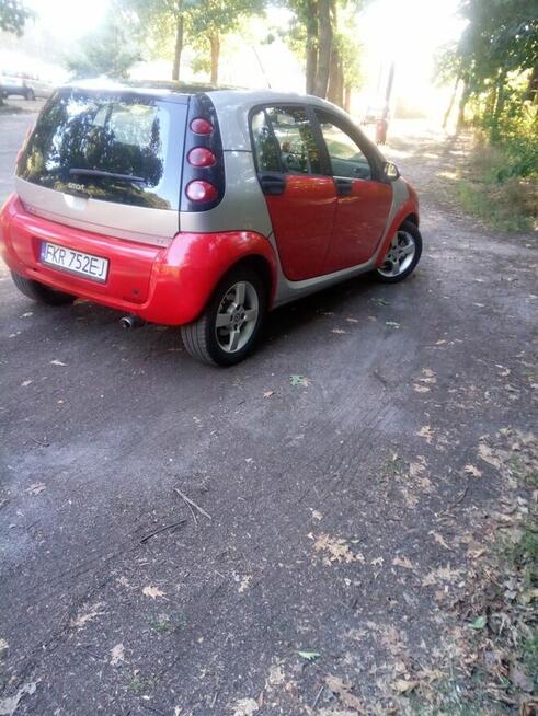 Auto miejskie Gubin - zdjęcie 8