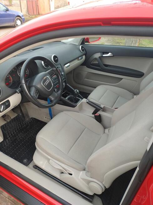 Ładne Audi A3 Psie Pole - zdjęcie 5