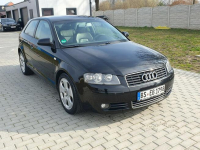 Audi A3 2.0tdi 140KM Skóra Klima Alu17 Raty Zamiana. Strobice - zdjęcie 9