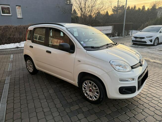 Fiat Panda 1,2 69KM  Klimatyzacja  Serwisowany  1Właściciel Orzech - zdjęcie 4