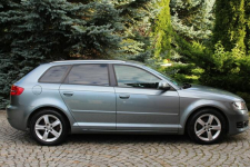 Audi A3 Turbo Benzyna Sportbec 164 tys km Zadbana Lubań - zdjęcie 3