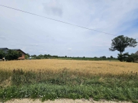 Działka Budowlana (2000 m2) MEDIA (Brzozowiec) Brzozowiec - zdjęcie 10