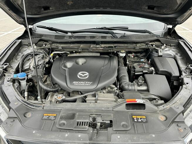 Prywatne Jeżyce - zdjęcie 4