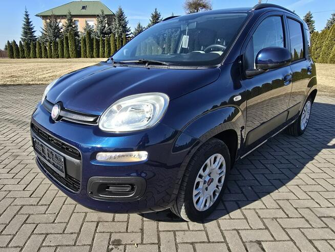 Fiat Panda 0,9benz Turbo. Serwis.Klimatyzacja.EL.szyby.LIFT.Hak.OKAZJA Kutno - zdjęcie 5